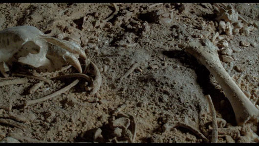 L'un des plus beaux plans du film... à condition de le voir en 3D