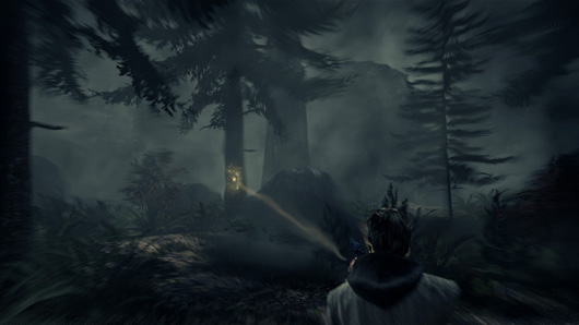 La forêt hantée du premier Alan Wake La forêt hantée du premier Alan Wake