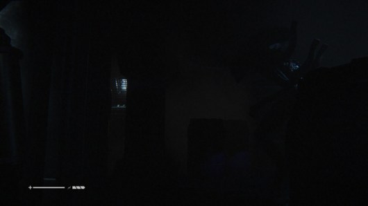 Contrairement à l'image précédente, là il a fini par me voir !