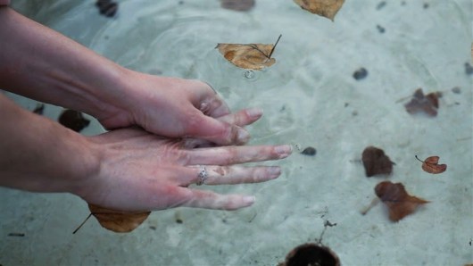 Adieu au Langage (2014)