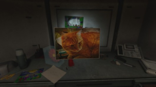 Ce n'est certes pas un chien, ni même un chat, mais la photo d'un chat.