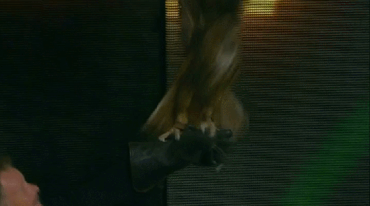 Introduction de Slammiversary XV